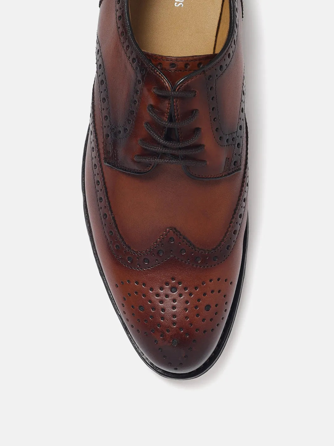 WING BROGUE DERBY SHOES | 2318 ADIGO COGNAC