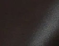 CRUZ SANDAL | DARK BROWN