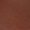 PALMA | 5055 Tan